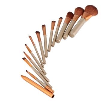 12 makeup brush sets iron box makeup tools makeup tools - GOGLOBALL